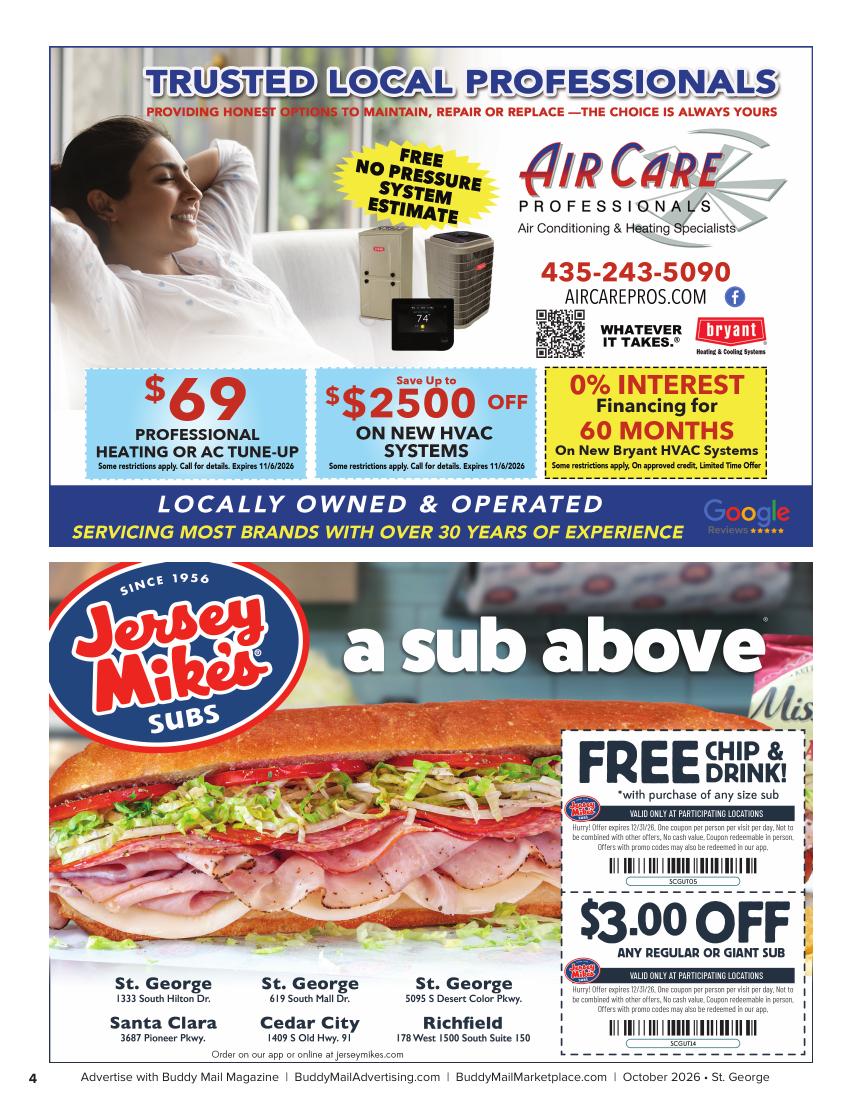 Air Care Professionals Buddy Mail advertisement